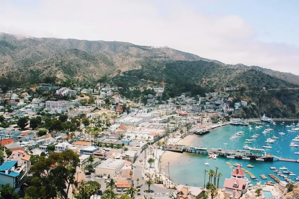 Aerial view of Catalina Island