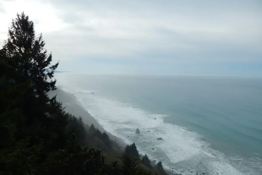 Foggy seas and evergreen trees in Crescent City California