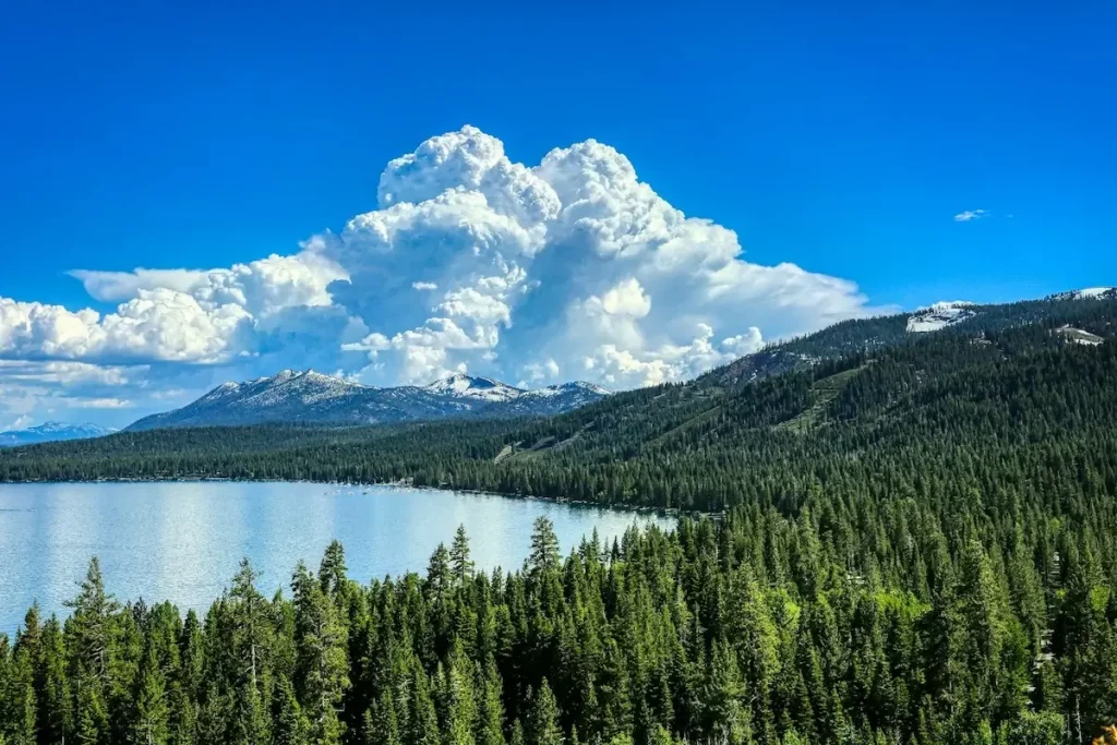 Homewood in West Lake Tahoe with Pine trees and soft clouds