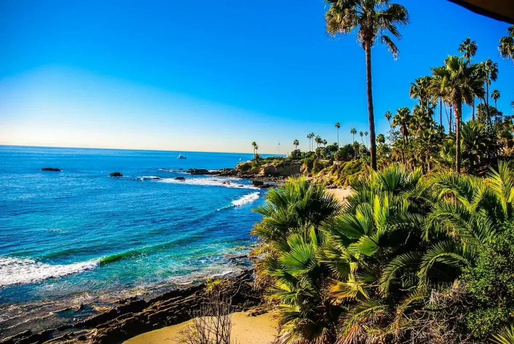 Palm trees and the gentle waves in Laguna Beach