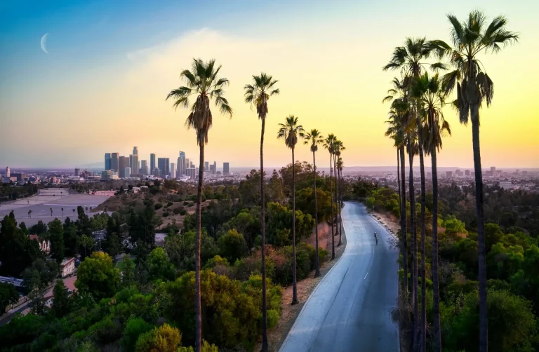 Palm tree lined road with Los Angeles skyline in the distance