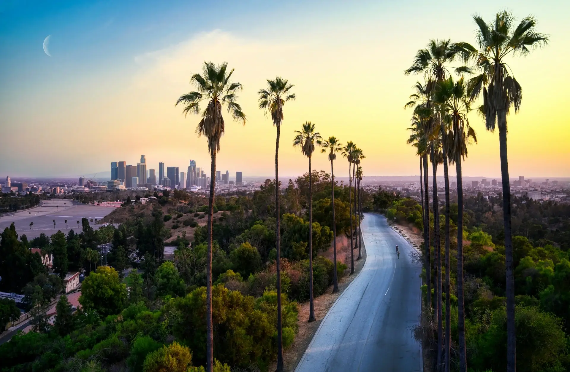 Palm tree lined road with Los Angeles skyline in the distance