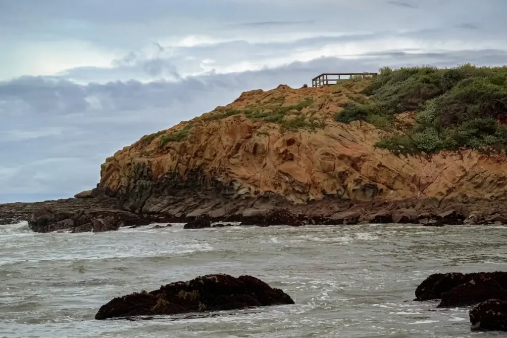 Moonstone Beach outcrop with rocks and green plants