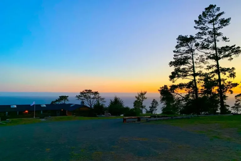 Blue and orange sunset behind a tree with ocean in the background