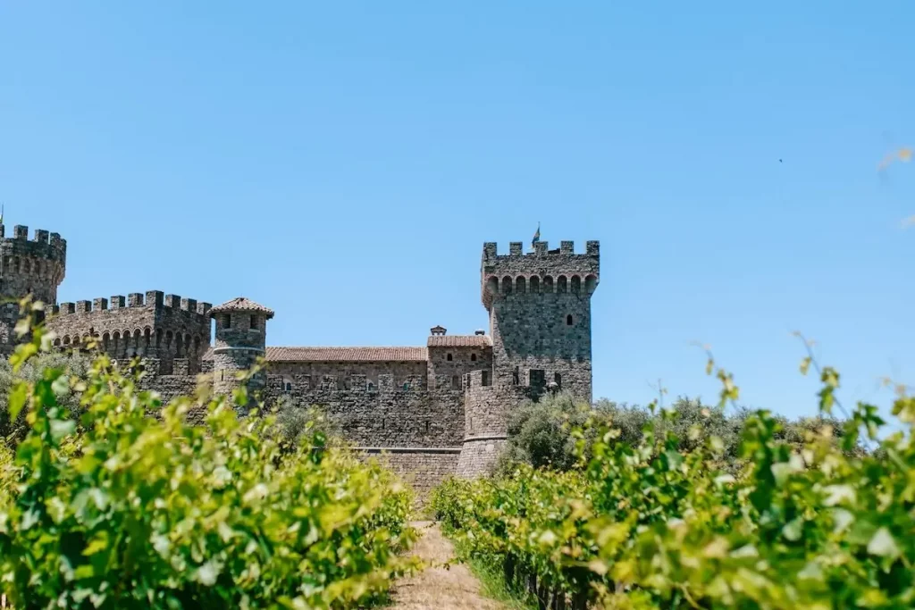 stone castle with grape vines in the foreground.